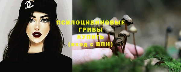 гидропоника Алексеевка