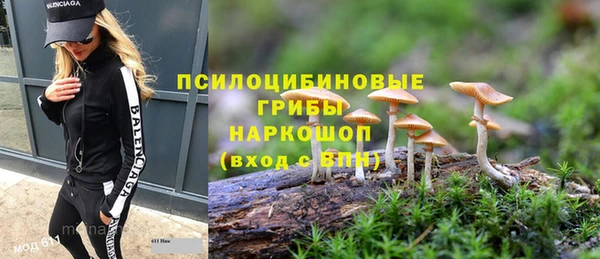 ПСИЛОЦИБИНОВЫЕ ГРИБЫ Абинск